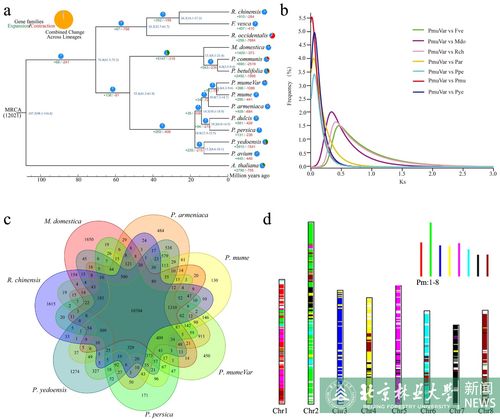 龙游梅高质量基因组组装完成 曲枝性状形成机制解析取得重要进展