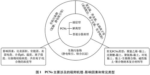 聚合物/黏土纳米复合材料在污水处理中的应用及研究进展